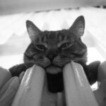 Hatékony hőcserélő tisztítása az Eurolikvid Kft.-től