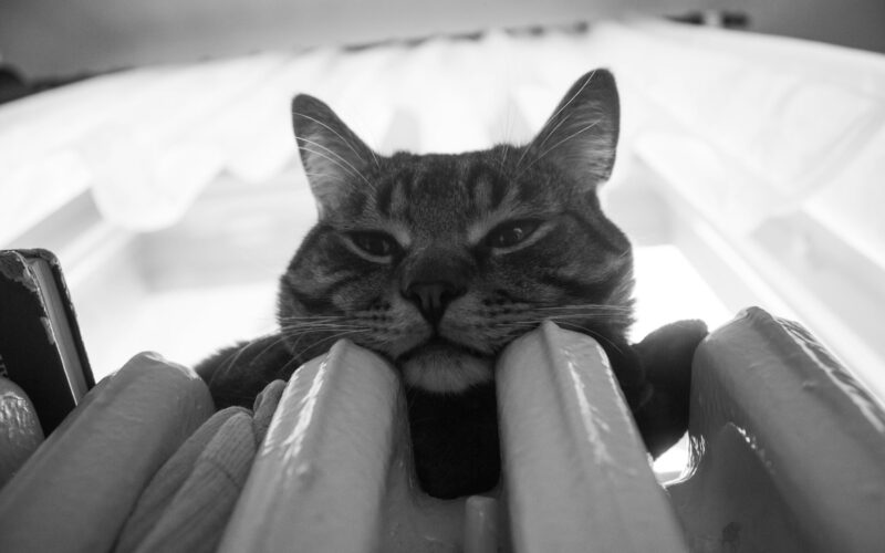 Hatékony hőcserélő tisztítása az Eurolikvid Kft.-től